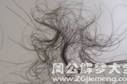 周公解梦梦见掉头发,掉头预示的神秘启示