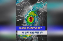 台风名字怎么取的,探寻命名规则与寓意