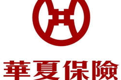华夏人寿保险怎么样,全面解析其业务、实力与市场地位