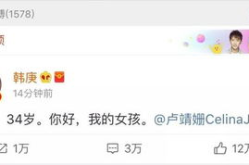 娱乐吃瓜王测试,娱乐吃瓜王测试带你领略网络围观文化