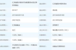 590002基金净值查询,投资动态与财富增长之路