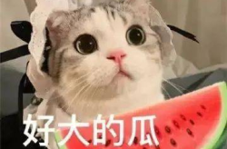 威威福州网红经纪人吃瓜,揭秘幕后真相与网络热议