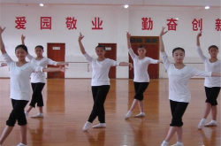 湖北单色爵士舞教练培训学院,湖北单色爵士舞教练培训学院全面解析”