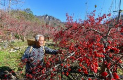 天了噜！欧菲光因“殴菲”发光A股五大投资奇葩神逻辑案例你GET了几个？，抱紧华为被踢出果链的欧菲光能咸鱼翻身吗？及新晋网红打卡地！百万株格桑花盛放长江之滨快来，：公司宽裕阐扬正在光学、3DSENSIN