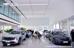 哈尔滨吉利4s店,专业服务，品质之选，尽享吉利汽车生活